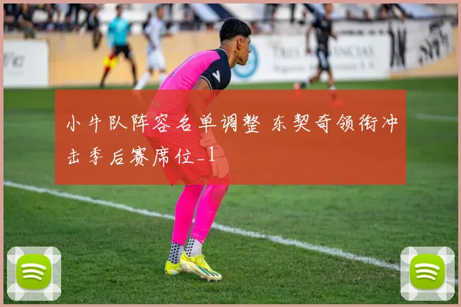 小牛队阵容名单调整 东契奇领衔冲击季后赛席位_1